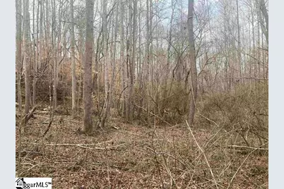 167 Rockingham Road, Duncan, SC 29334 - Photo 3