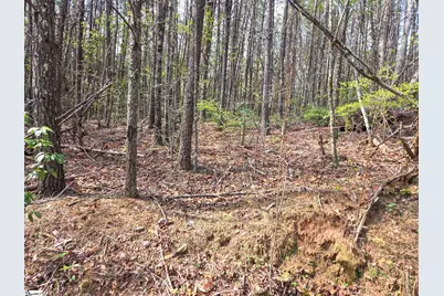 0 Pumpkintown Hwy 8, Pickens, SC 29671 - Photo 27