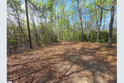 0 Pumpkintown Hwy 8, Pickens, SC 29671 - Photo 35