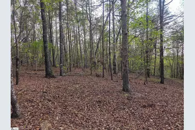 0 Pumpkintown Hwy 8, Pickens, SC 29671 - Photo 23