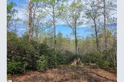 0 Pumpkintown Hwy 8, Pickens, SC 29671 - Photo 11