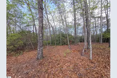 0 Pumpkintown Hwy 8, Pickens, SC 29671 - Photo 31