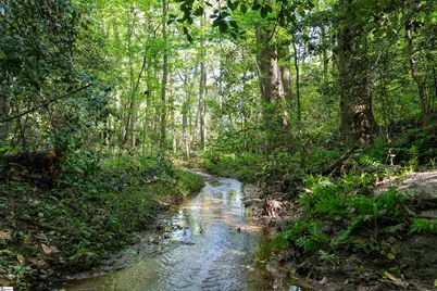 6 Stratton Place, Greenville, SC 29615 - Photo 11