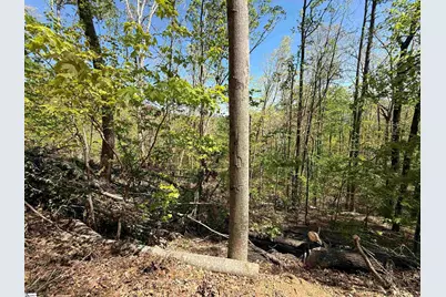 113 Stone Creek Court, Pickens, SC 29671 - Photo 3