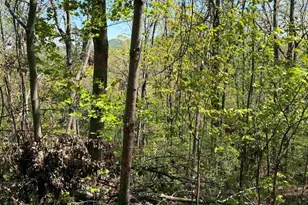 113 Stone Creek Ct, Pickens, SC 29671 - Photo 1