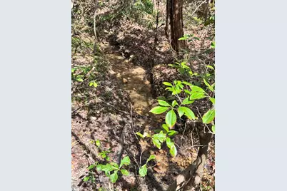 218 Sweetbriar Way, Easley, SC 29640 - Photo 23