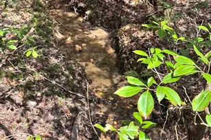 218 Sweetbriar Way, Easley, SC 29640 - Photo 23