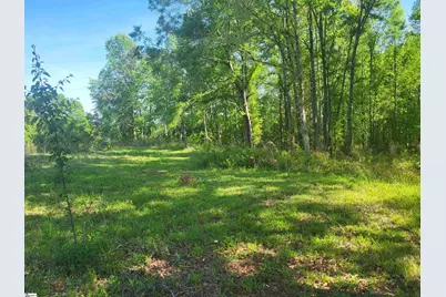 3151 N Highway 14, Greer, SC 29651 - Photo 11