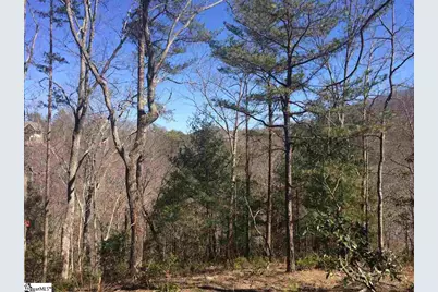 18 Angle Stone Way, Travelers Rest, SC 29690 - Photo 1