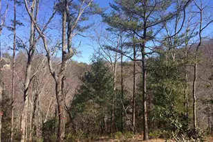 18 Angle Stone Way, Travelers Rest, SC 29690 - Photo 1