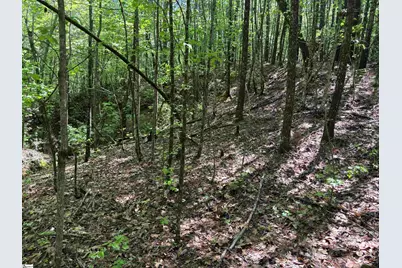 1940 Pleasant Hill Road #LOT 3-B, Greer, SC 29651 - Photo 15