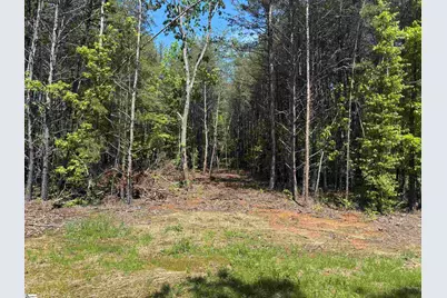 1940 Pleasant Hill Road #LOT 3-B, Greer, SC 29651 - Photo 5