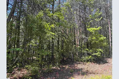 1940 Pleasant Hill Road #LOT 3-B, Greer, SC 29651 - Photo 17