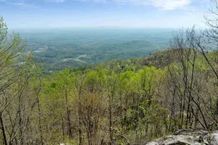 7860 Glassy Rdg Rd, Landrum, SC 29356 - Photo 47