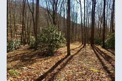 180 Painter Creek Road, Travelers Rest, SC 29690 - Photo 3