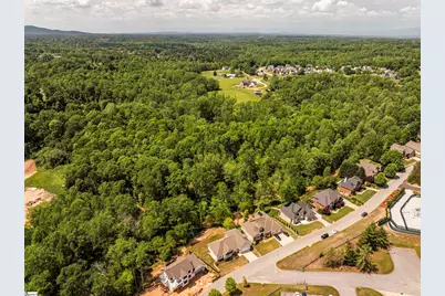 221 Wood River Way, Taylors, SC 29687 - Photo 43