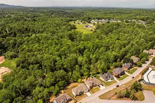 221 Wood River Way, Taylors, SC 29687 - Photo 43