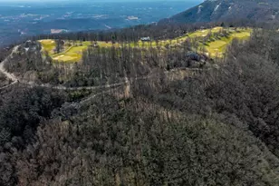 248 May Apple Way, Landrum, SC 29356 - Photo 23