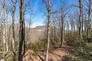 248 May Apple Way, Landrum, SC 29356 - Photo 17