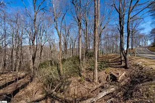 248 May Apple Way, Landrum, SC 29356 - Photo 21