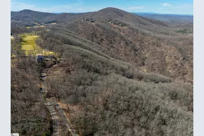 248 May Apple Way, Landrum, SC 29356 - Photo 25