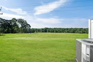 209 Cupid Ct, Greer, SC 29651 - Photo 21