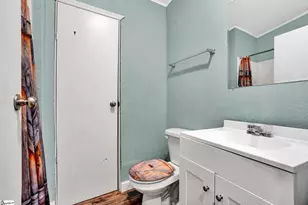 224 Brandi Ln, Clinton, SC 29325 - Photo 23