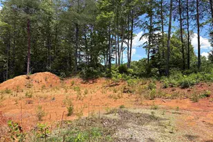 119 Tugaloo Rd, Landrum, SC 29356 - Photo 7