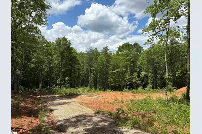 119 Tugaloo Road, Landrum, SC 29356 - Photo 5