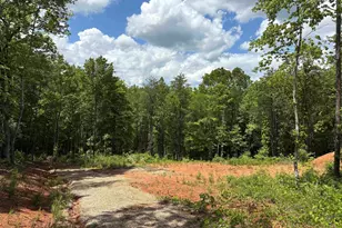 119 Tugaloo Rd, Landrum, SC 29356 - Photo 5