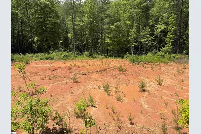 119 Tugaloo Road, Landrum, SC 29356 - Photo 9