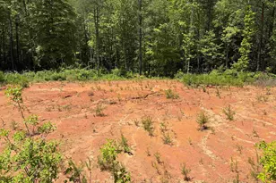 119 Tugaloo Rd, Landrum, SC 29356 - Photo 9