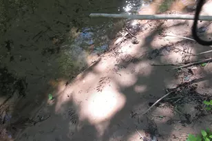 716 Sliding Rock Rd, Pickens, SC 29671 - Photo 37