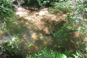 716 Sliding Rock Rd, Pickens, SC 29671 - Photo 29