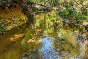 698 Mt Bethel Rd, Sunset, SC 29685 - Photo 35