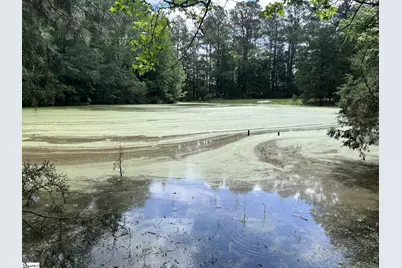 4961 221 Hwy S, Laurens, SC 29360 - Photo 49