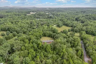 101 Dove Hill Ct, Easley, SC 29640 - Photo 35