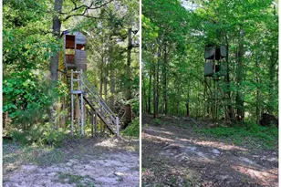 833 Duncan Creek Church Rd, Laurens, SC 29360 - Photo 43