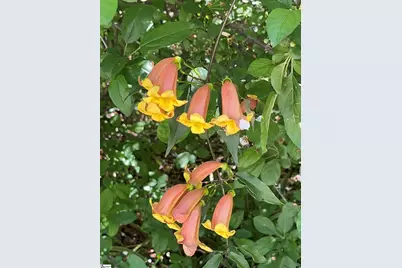 106 Stonegate Court, Simpsonville, SC 29681 - Photo 13