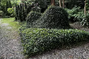 106 Stonegate Ct, Simpsonville, SC 29681 - Photo 5