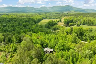 707 Lister Rd, Landrum, SC 29356 - Photo 3