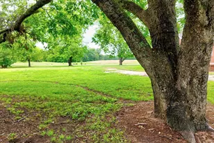 1411 Trail Rd, Belton, SC 29627 - Photo 41