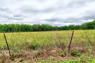 1411 Trail Rd, Belton, SC 29627 - Photo 35