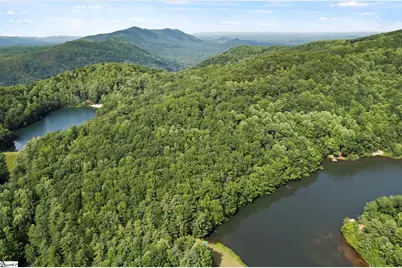 430 Lakeview Drive, Saluda, NC 28773 - Photo 7