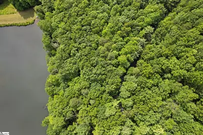 430 Lakeview Drive, Saluda, NC 28773 - Photo 13