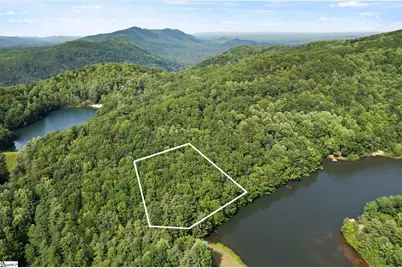 430 Lakeview Drive, Saluda, NC 28773 - Photo 17