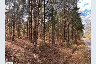 12396 Neely Ferry Road, Waterloo, SC 29384 - Photo 1