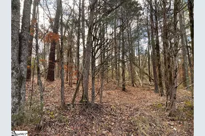 12396 Neely Ferry Road, Waterloo, SC 29384 - Photo 3