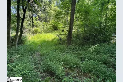 Berry Shoals Road, Duncan, SC 29334 - Photo 7