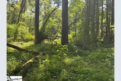 Berry Shoals Road, Duncan, SC 29334 - Photo 5